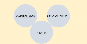 Les différences entre les trois systèmes. (capitaliste, communiste et PROUT)